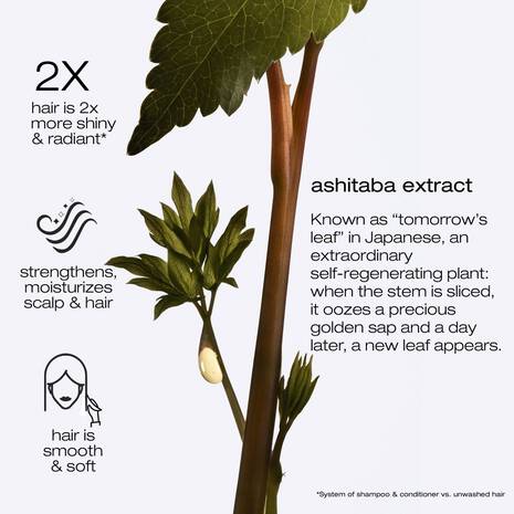 shu-uemura-art-of-hair-ashita-supreme-dull-damaged-hair-ashitaba-ingredient.jpg
