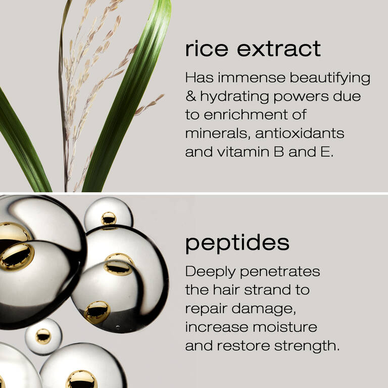 shu-uemura-art-of-hair-ultimate-reset-extreme-repair-overnight-hair-serum-ingredients.jpg