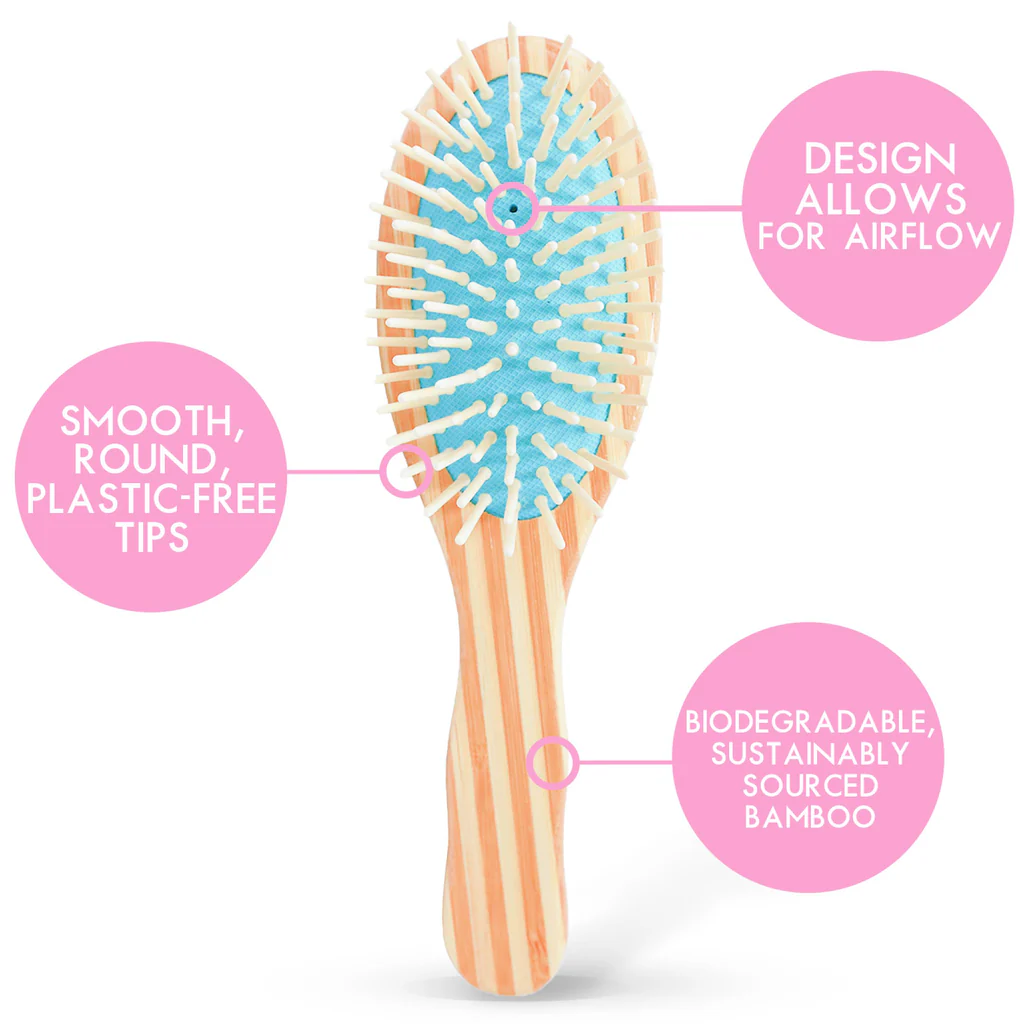brush_instr_1024x1024.webp