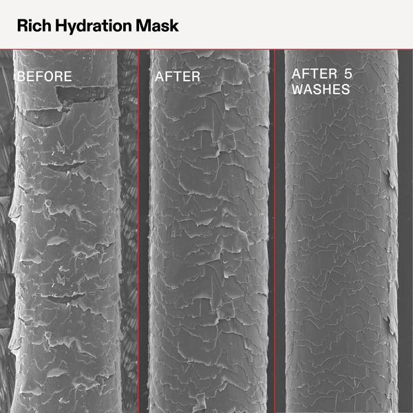 2025_RICH_MASK_INFOGRAPHIC_BA_MACRO_US_8_1