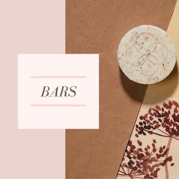 BARS