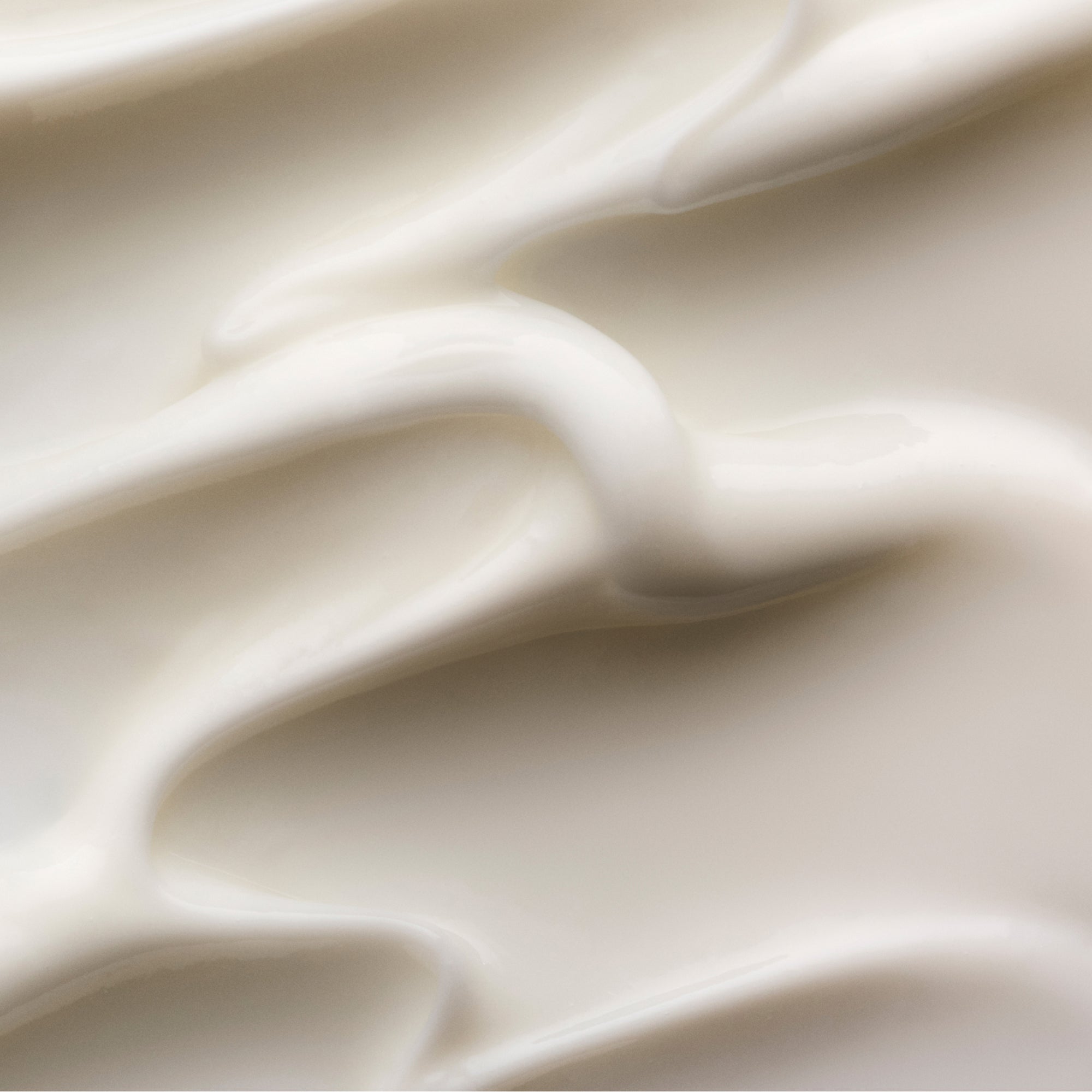 2025_N3plus_pdp_02